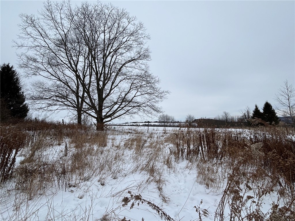 811 West State Road Virgil, NY 13045 - Photo 7 of 12