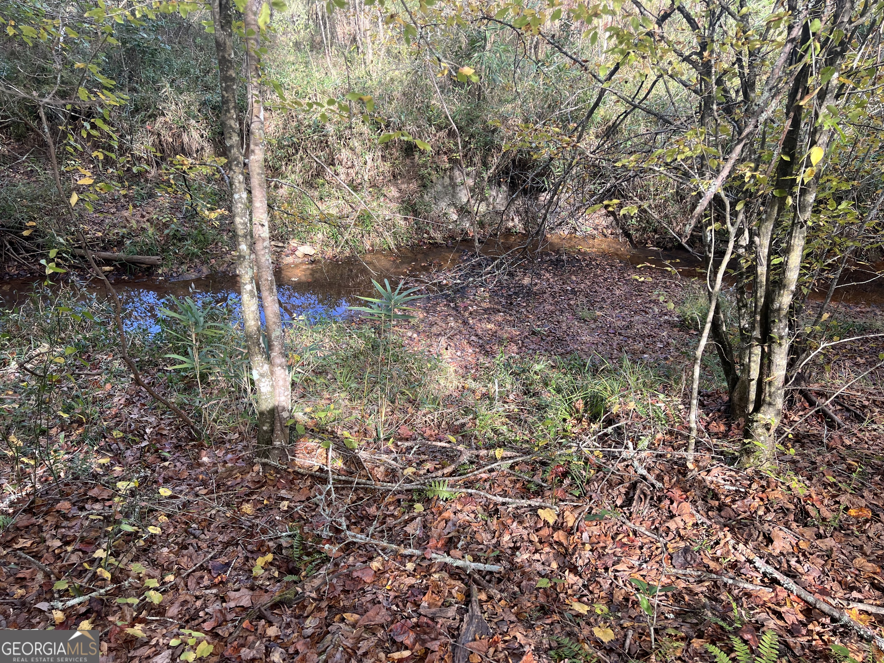 0 South Bridge Road Franklin, GA 30217 - Photo 1 of 1