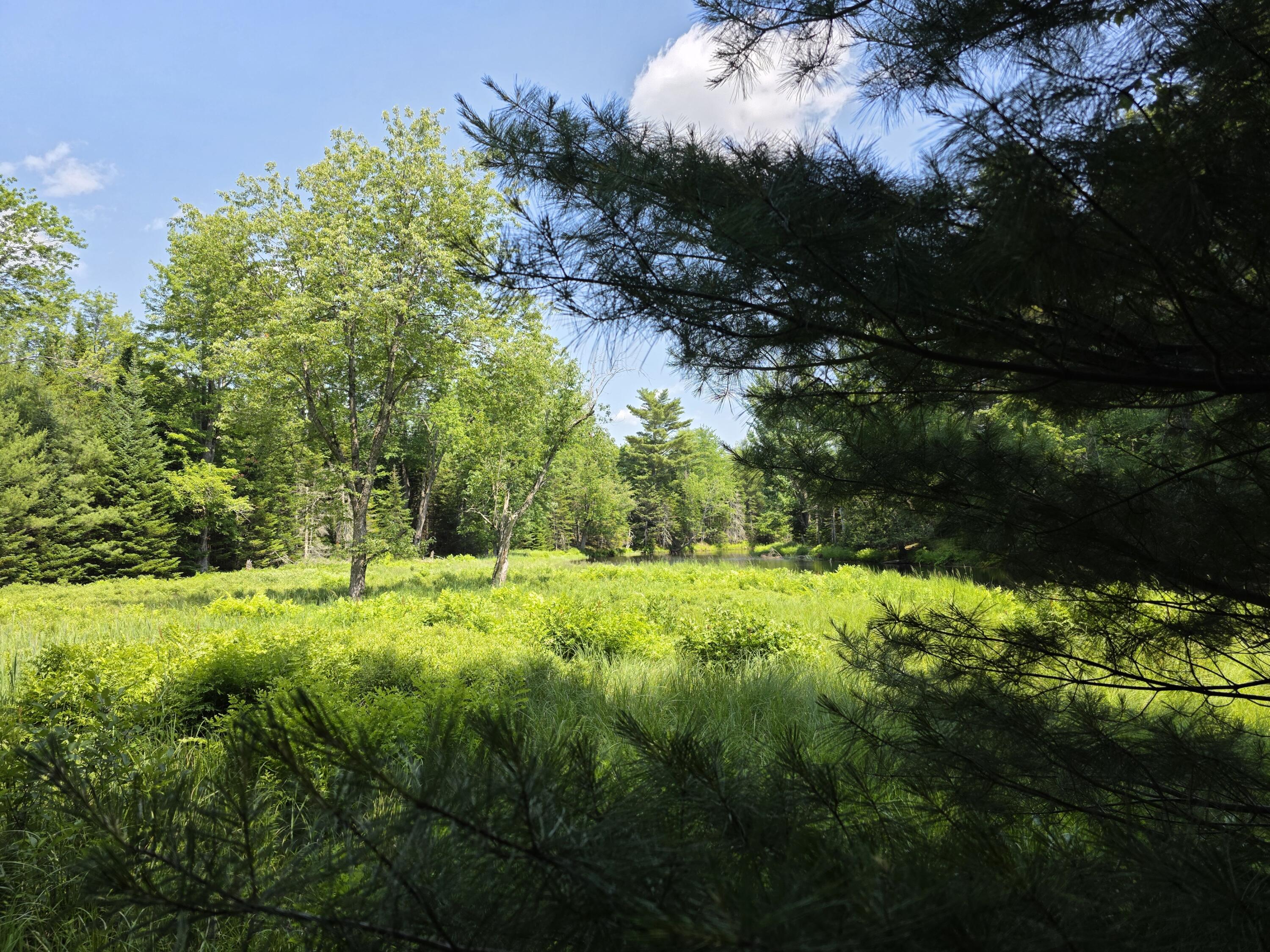 0 Brown Road Searsmont, ME 04973 - Photo 3 of 14 1000033547
