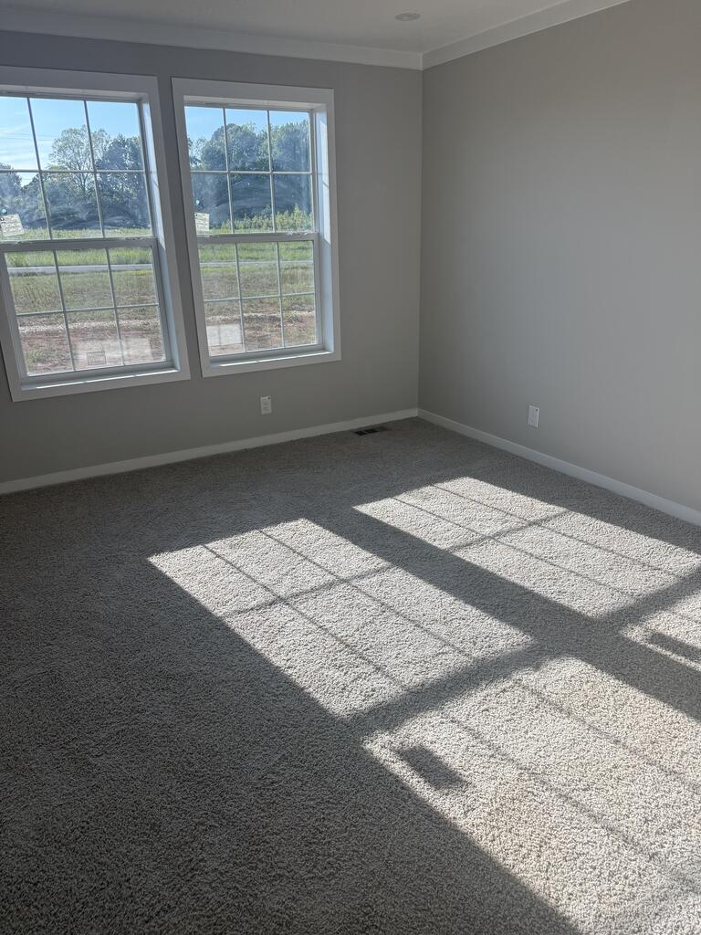 5167 Cluster Springs Road Alton, VA 24520 - Photo 8 of 9 Gallery Image 8
