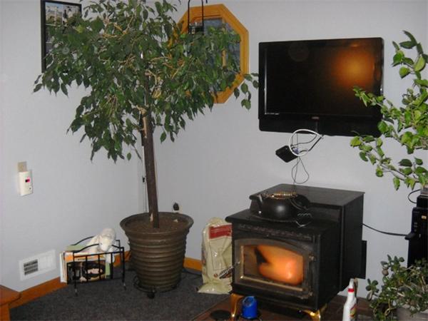 121 Aldrew Terrace Springfield, MA 01119 - Photo 6 of 19 Gallery Image 6