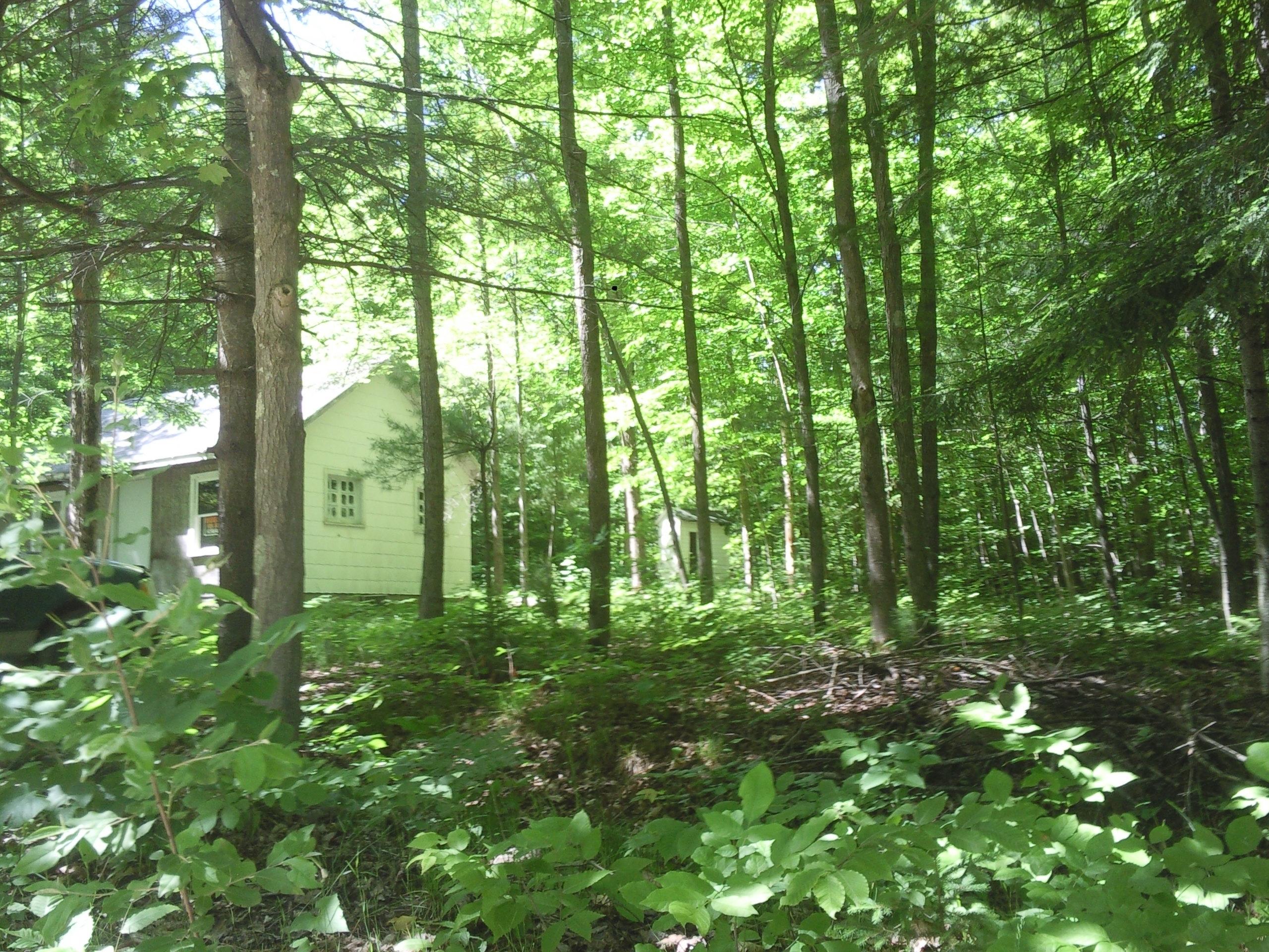 16350 Pleasant Valley Road Atlanta, MI 49709 - Photo 10 of 25 Gallery Image 10
