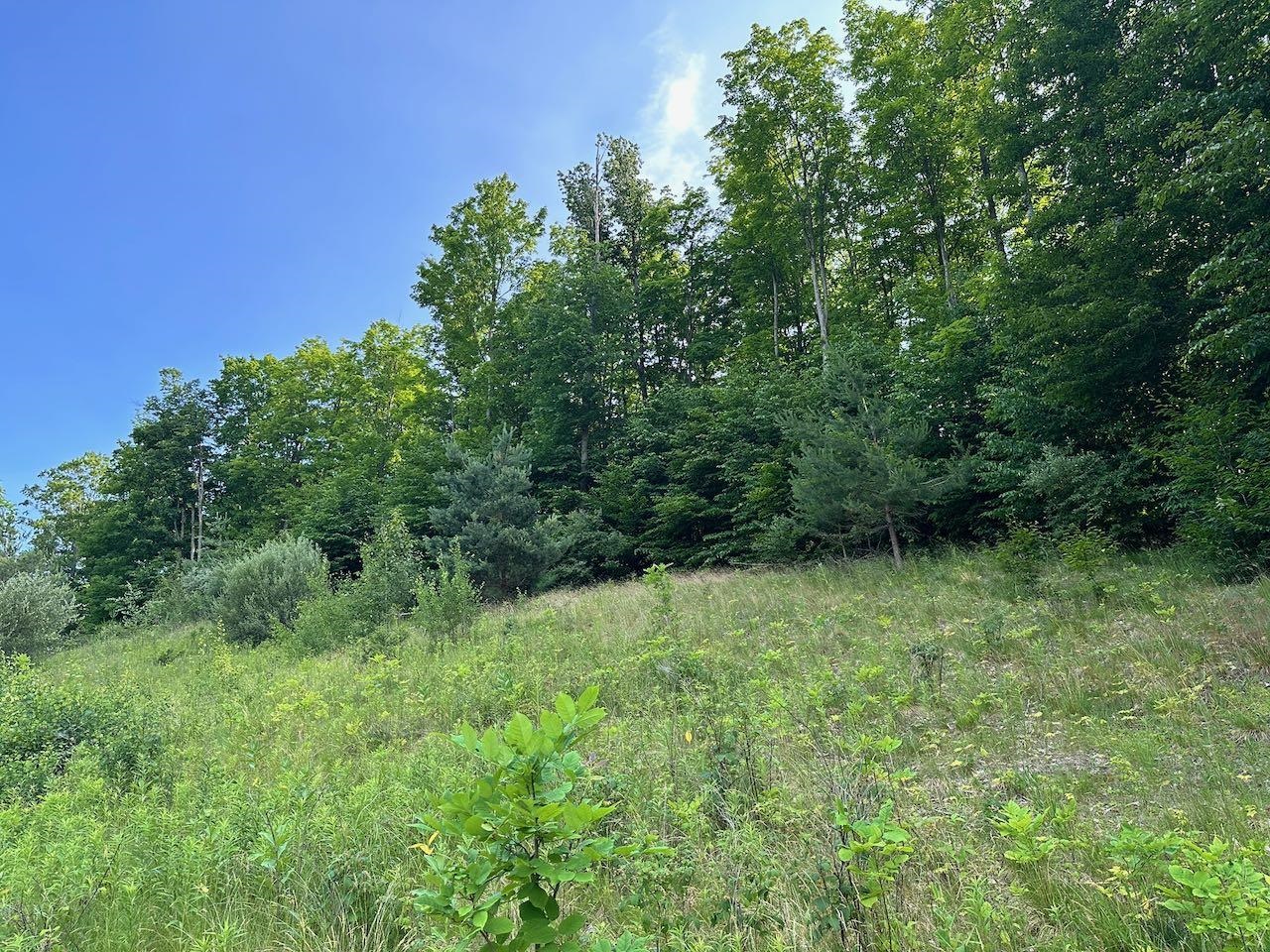 170 Raptor Run, Unit LOT: 170 Bellaire, MI 49615 - Photo 9 of 29