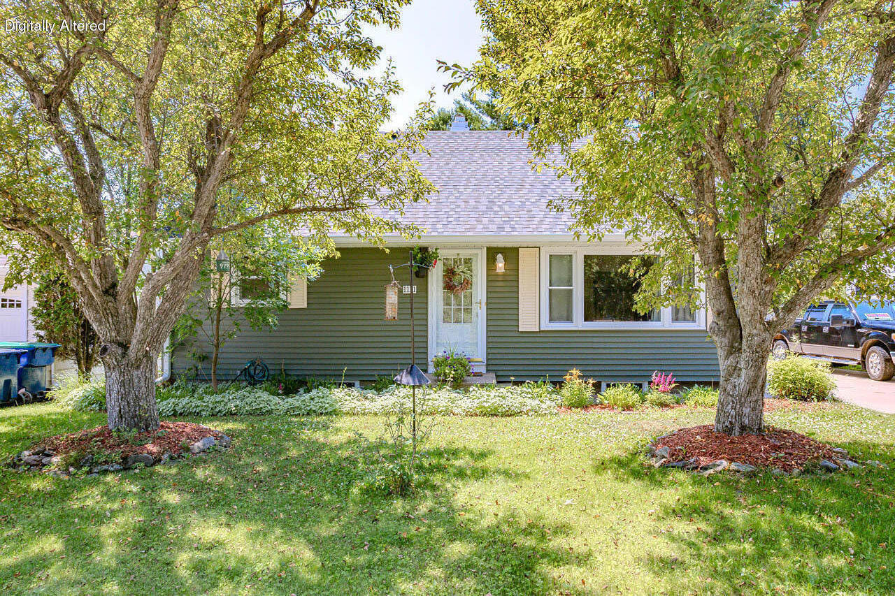 Sunlit dappled front yard