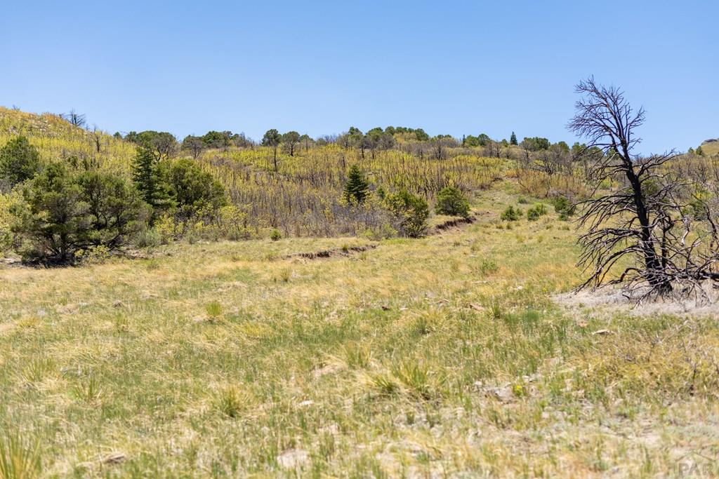 Lot 25 Majors Ranch Walsenburg, CO 81089 - Photo 28 of 34