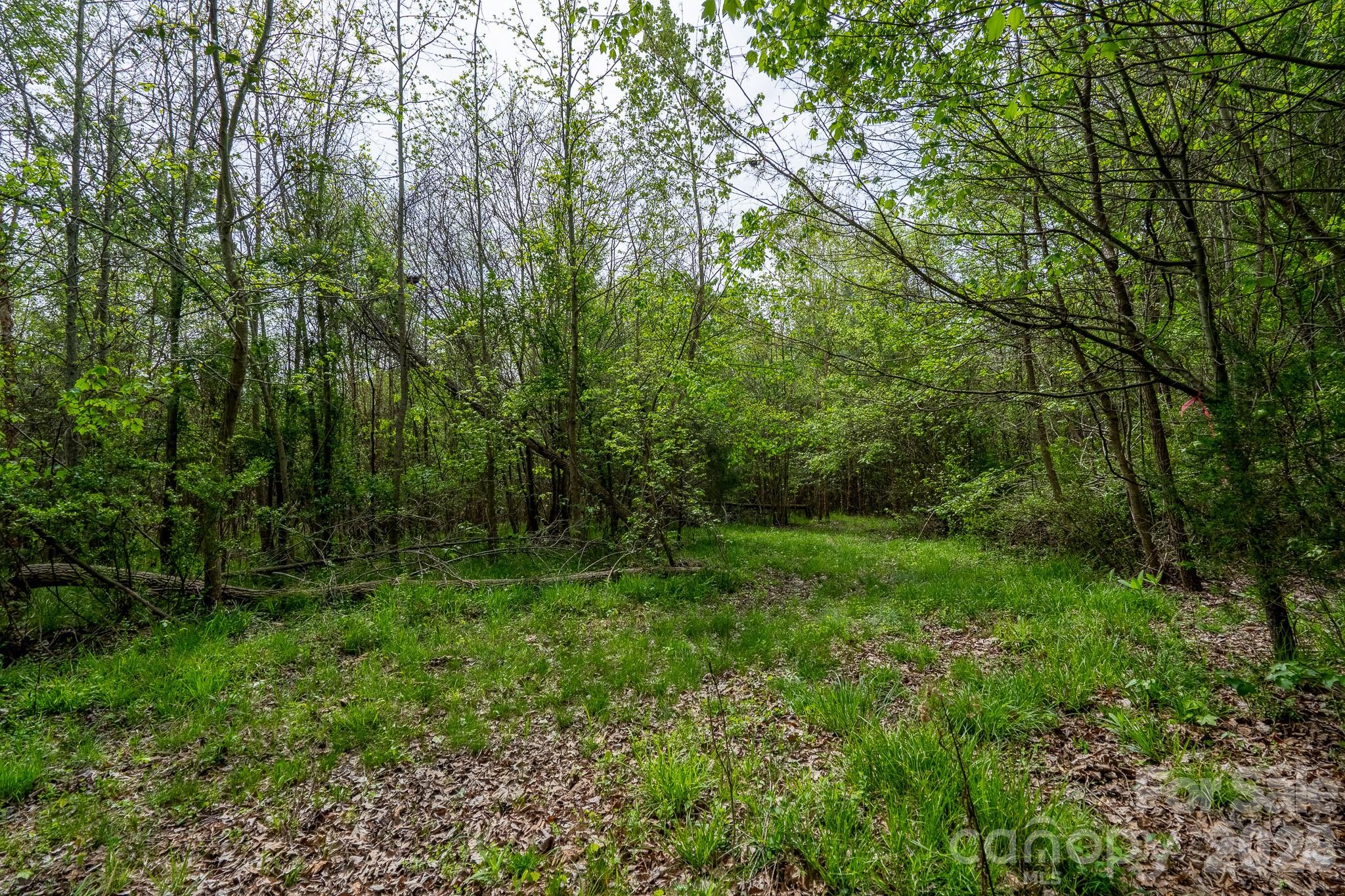 0 Blackwelder Road, Unit 1 Salisbury, NC 28146 - Photo 10 of 16 Gallery Image 10