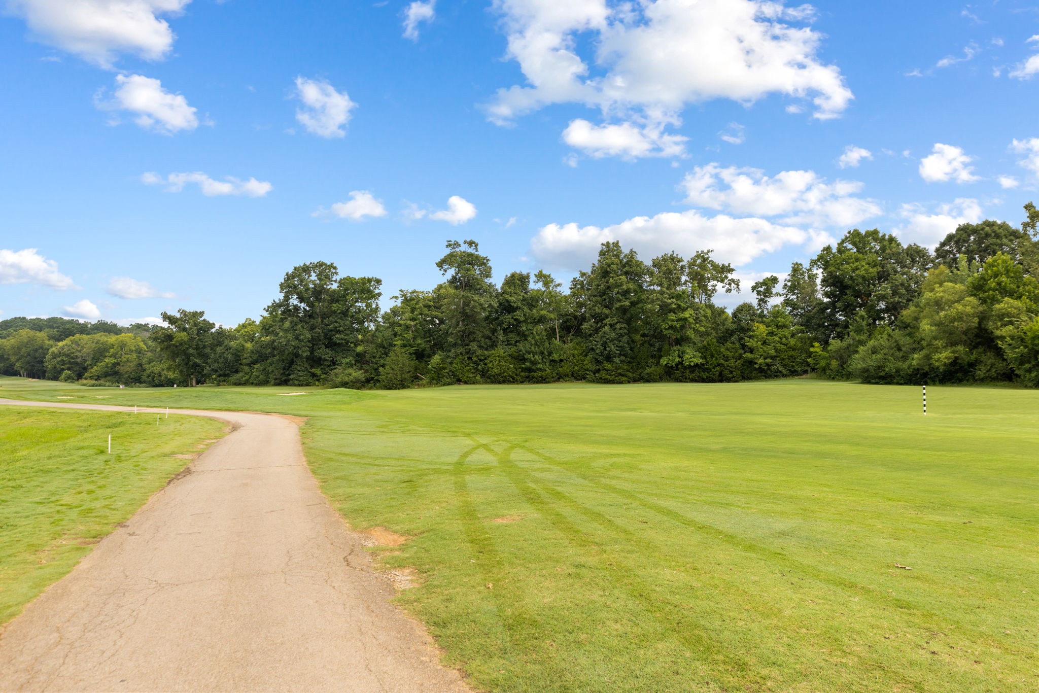 456 Alcott Way Spring Hill Spring Hill, TN 37174 - Photo 40 of 47
