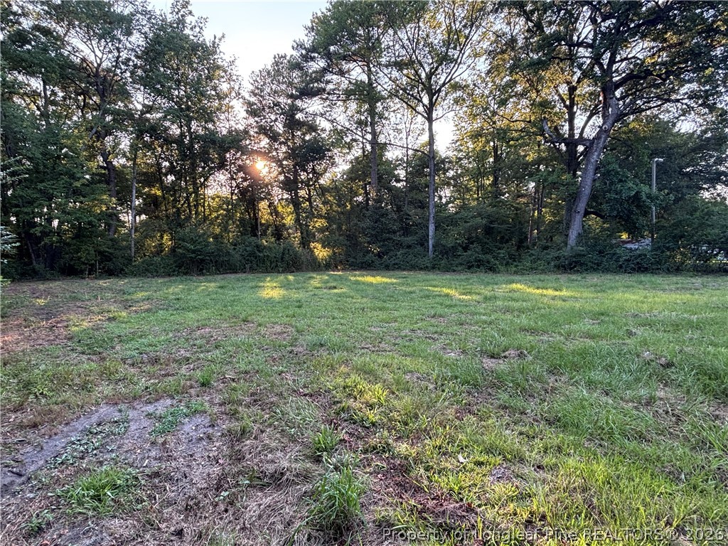 595 Shaw Road St. Pauls, NC 28384 - Photo 20 of 29