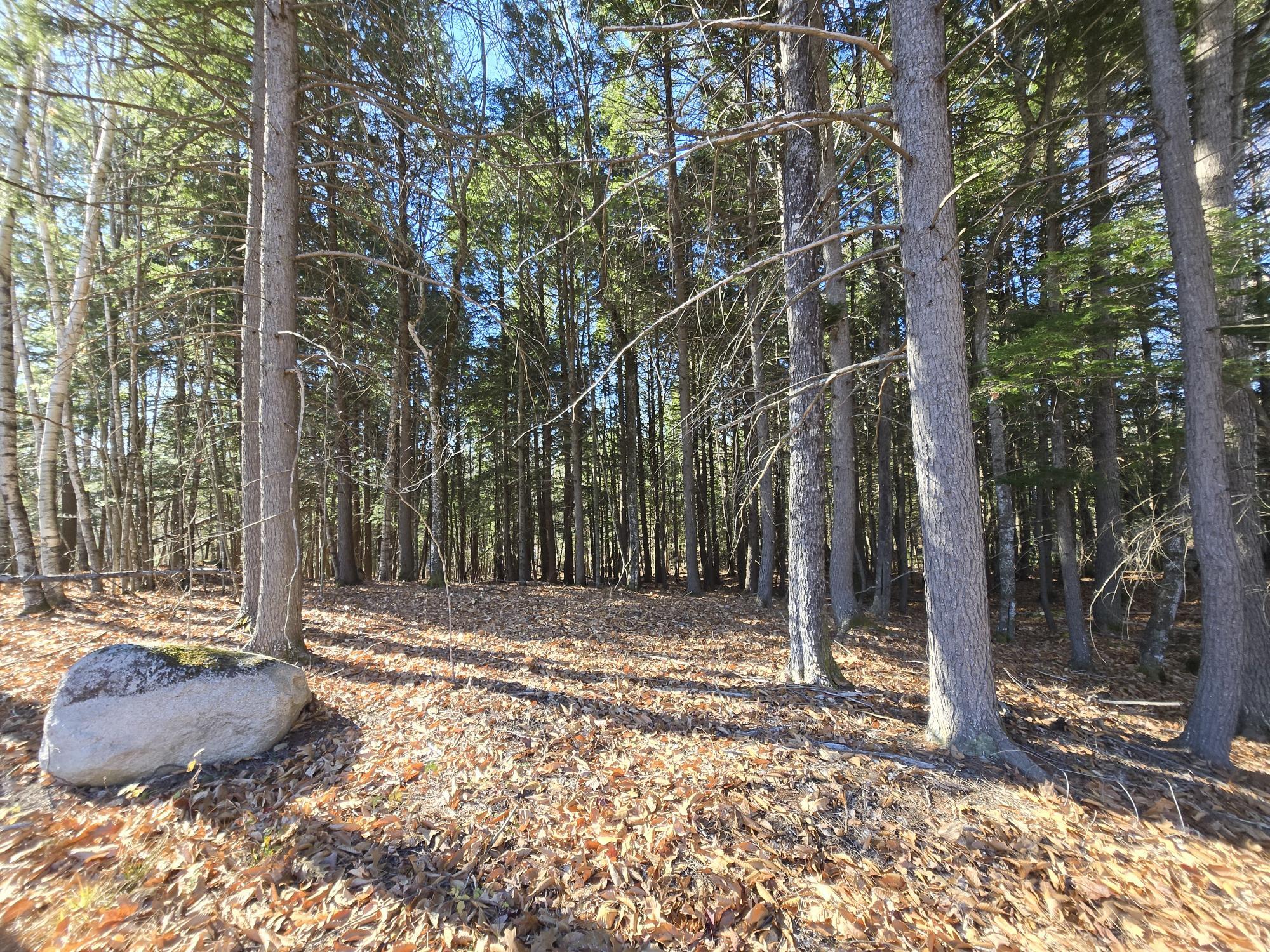 29 Hawk Ridge Road Harrison, ME 04040 - Photo 3 of 7 3