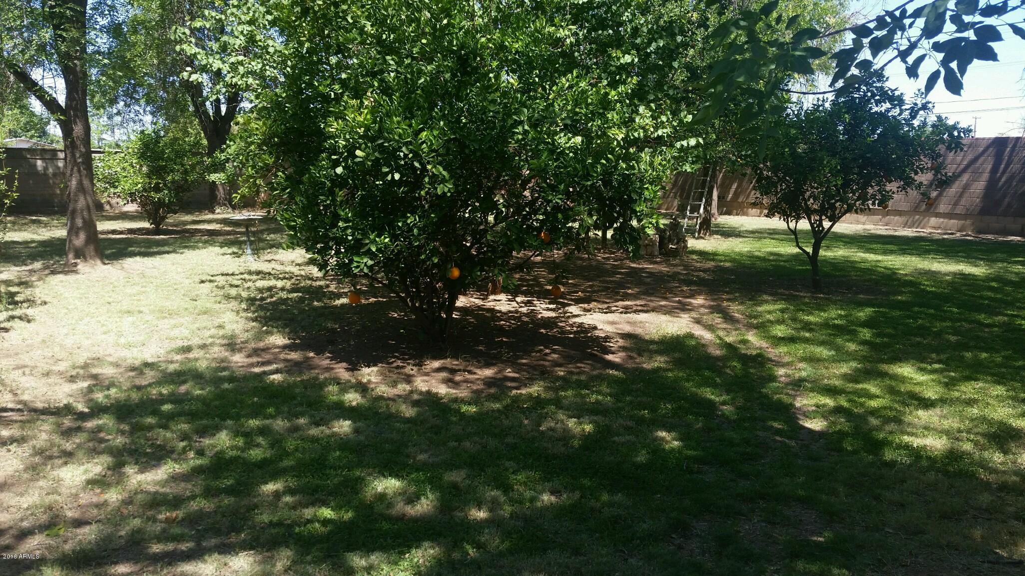 4502 West Osborn Road Phoenix, AZ 85031 - Photo 14 of 15 park like back yard