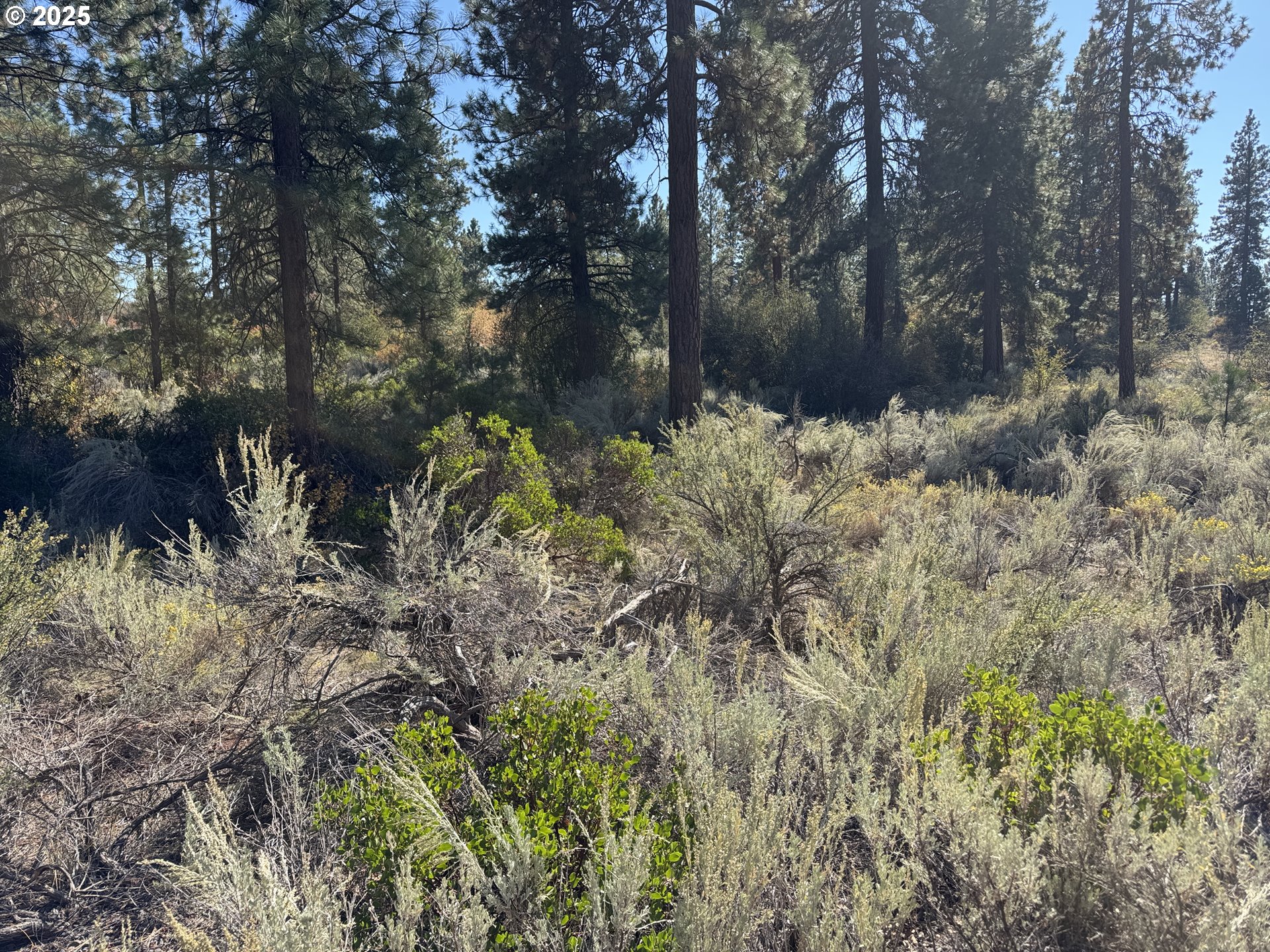 Legget Drive, Unit 5 Chiloquin, OR 97624 - Photo 18 of 32 a backyard of a house with lots of green space