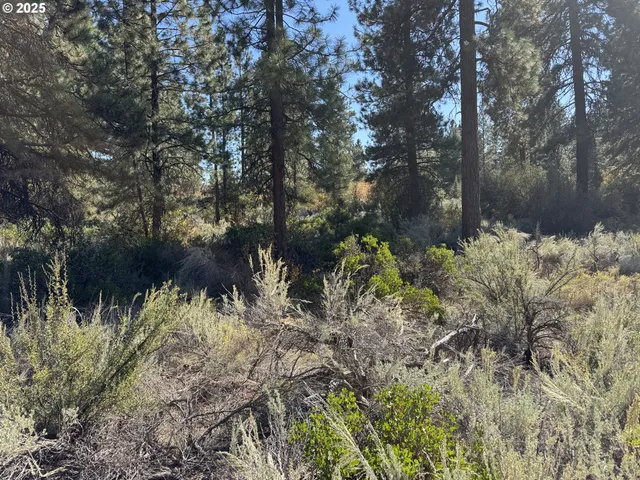 a view of a lake with a tree