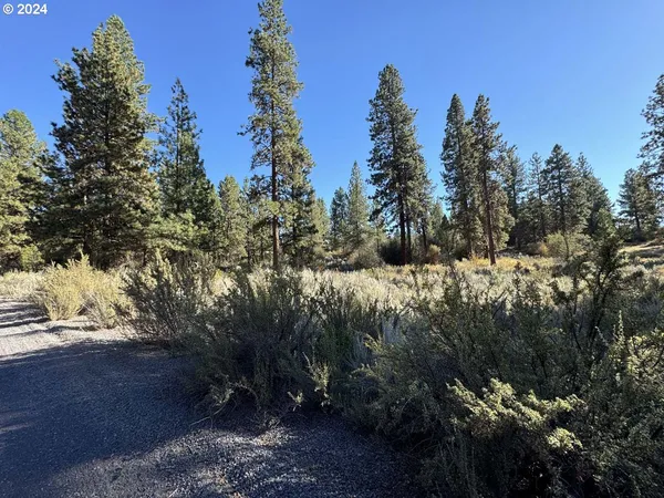 a view of mountain view with lots of trees