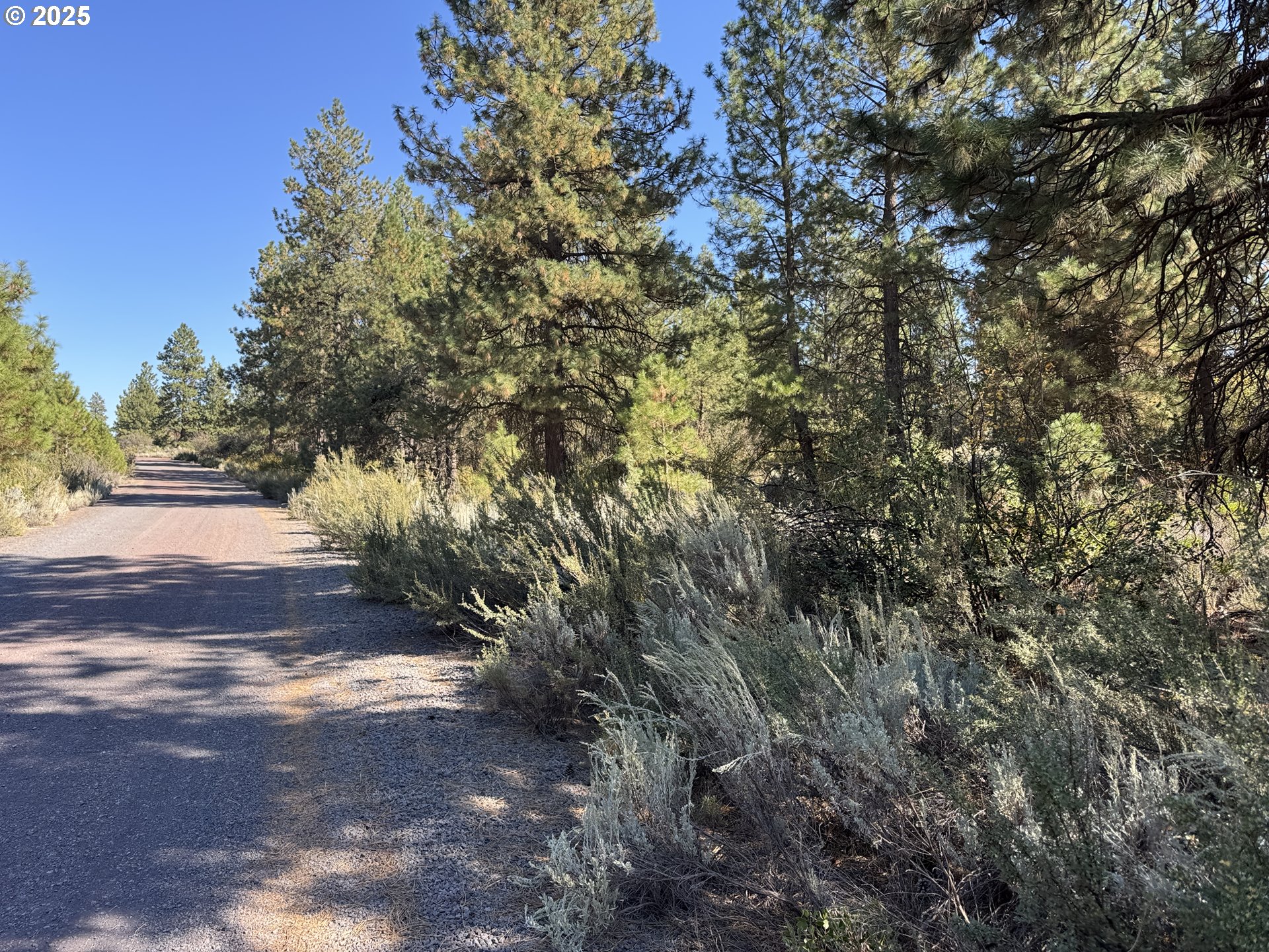 Legget Drive, Unit 5 Chiloquin, OR 97624 - Photo 23 of 32 a view of a yard with plants and trees