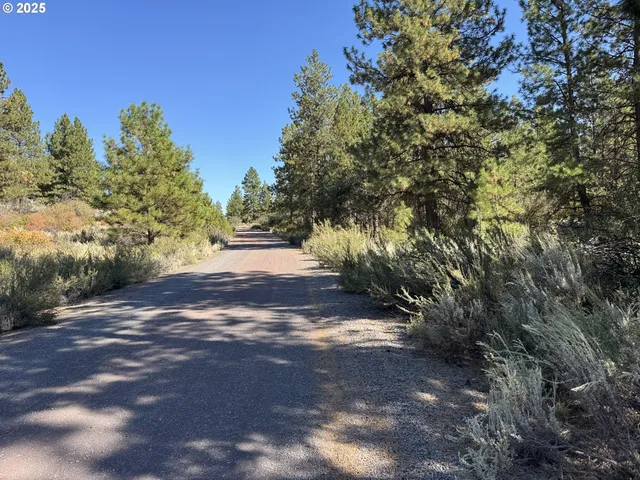 a view of road with trees