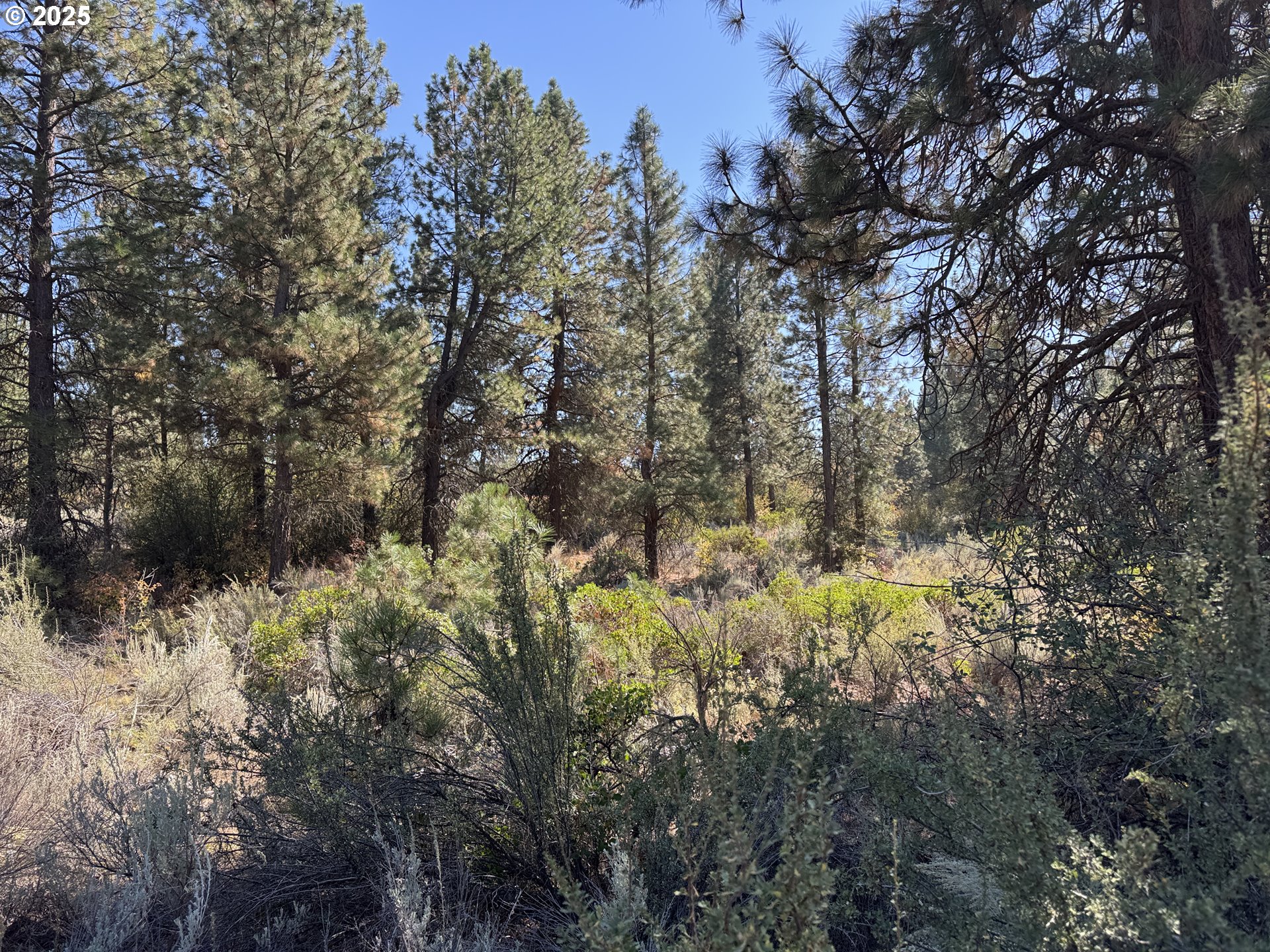 Legget Drive, Unit 5 Chiloquin, OR 97624 - Photo 25 of 32 a view of a covered with trees in a background