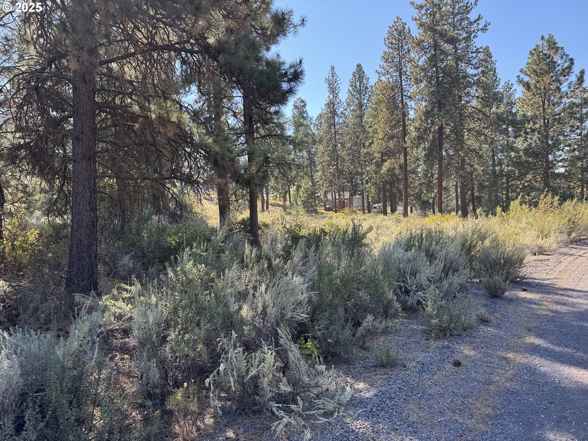 Legget Drive, Unit 5 Chiloquin, OR 97624 - Photo 31 of 32 a view of a yard