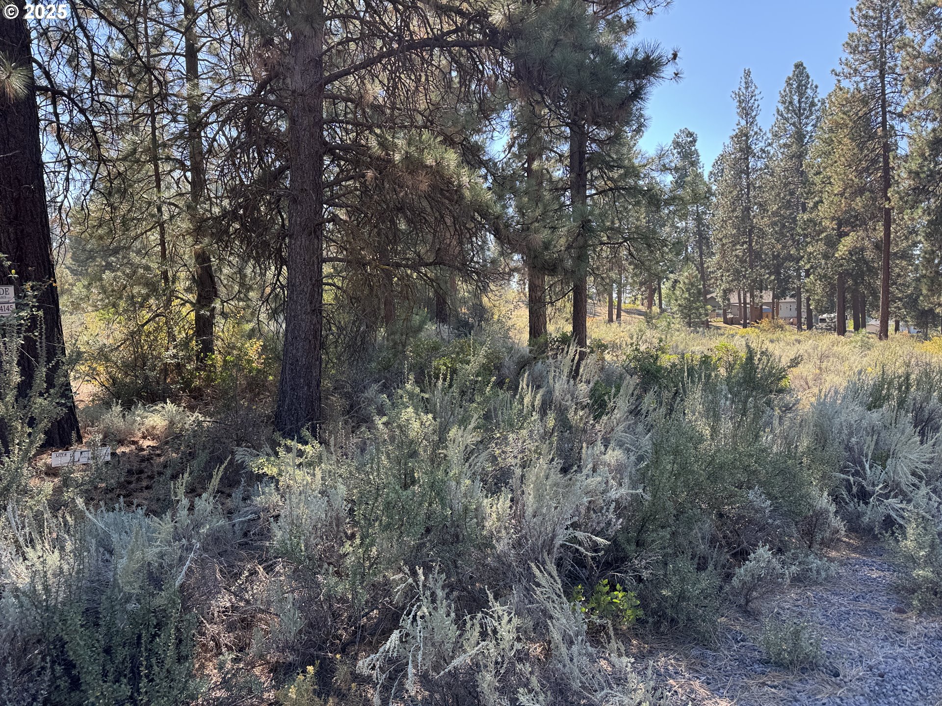 Legget Drive, Unit 5 Chiloquin, OR 97624 - Photo 32 of 32 a view of a forest filled with trees