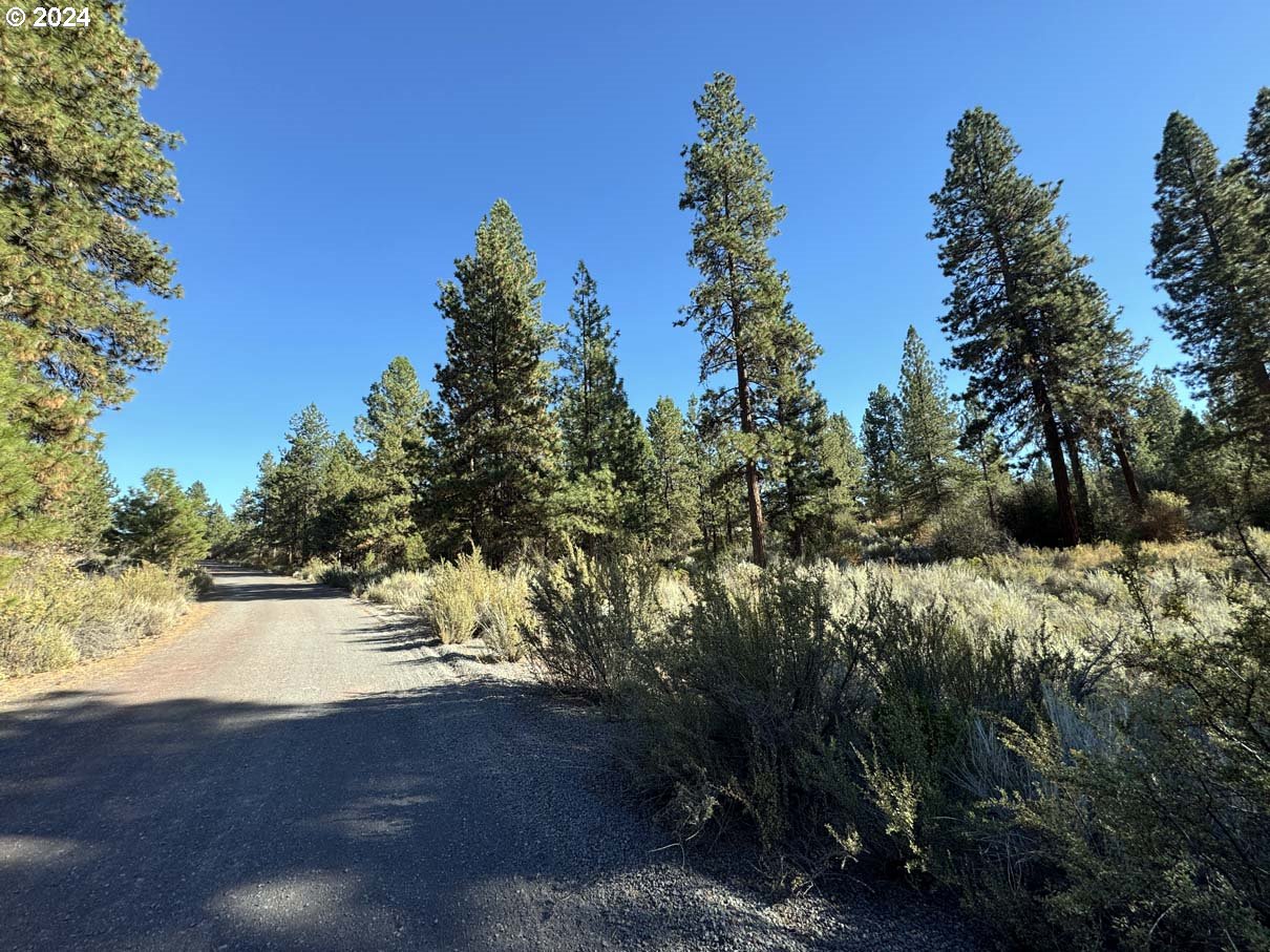 Legget Drive, Unit 5 Chiloquin, OR 97624 - Photo 4 of 32 a view of outdoor space and yard