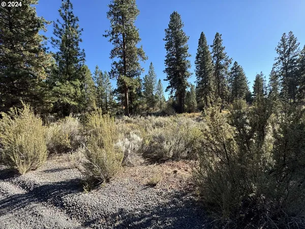 a view of a yard covered in snow