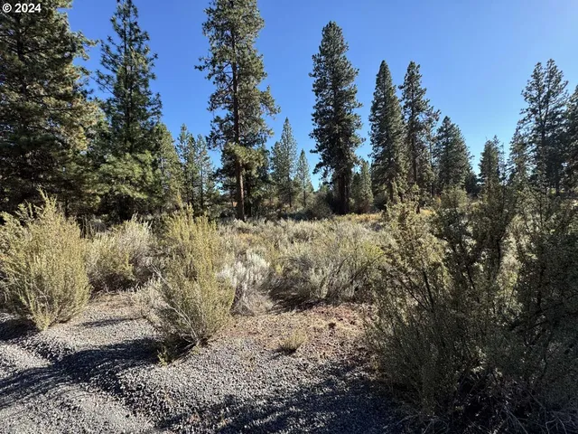 a view of a yard covered in snow