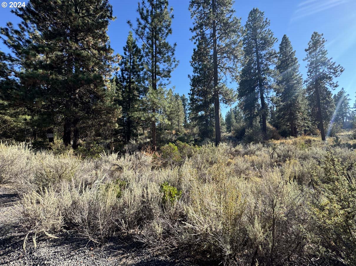 Legget Drive, Unit 5 Chiloquin, OR 97624 - Photo 6 of 32 a view of a yard