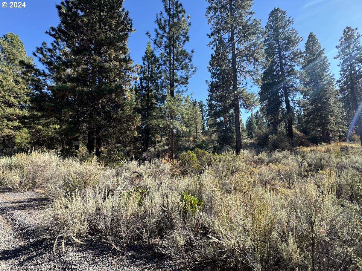 Legget Drive, Unit 5 Chiloquin, OR 97624 - Photo 7 of 32 a view of a yard