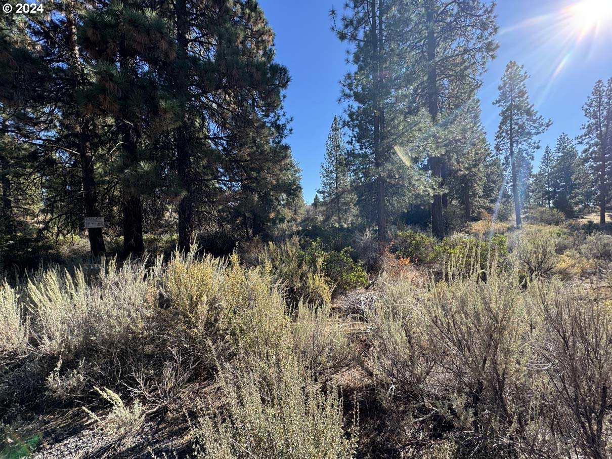 Legget Drive, Unit 5 Chiloquin, OR 97624 - Photo 8 of 32 a view of a bunch of plants and trees