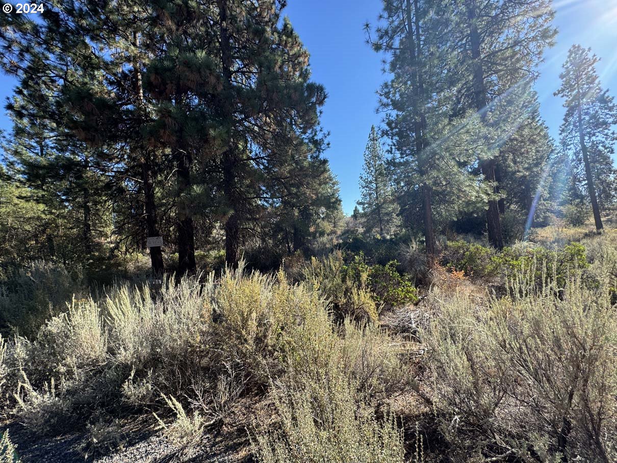 Legget Drive, Unit 5 Chiloquin, OR 97624 - Photo 9 of 32 a view of a lake view