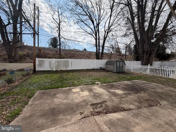 a view of a yard with a large tree