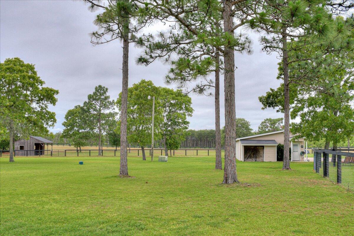 254 Cadle Crossing Road Windsor, SC 29856 - Photo 94 of 104