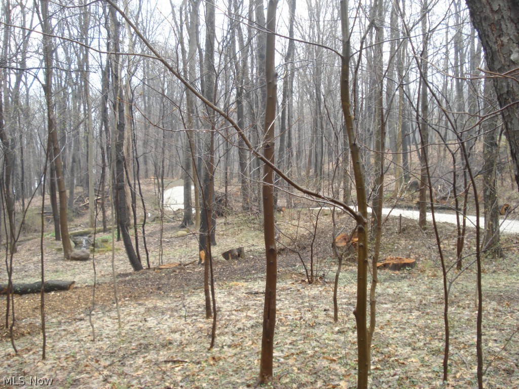 2392 Martin Road Mogadore, OH 44260 - Photo 7 of 9 Gallery Image 7