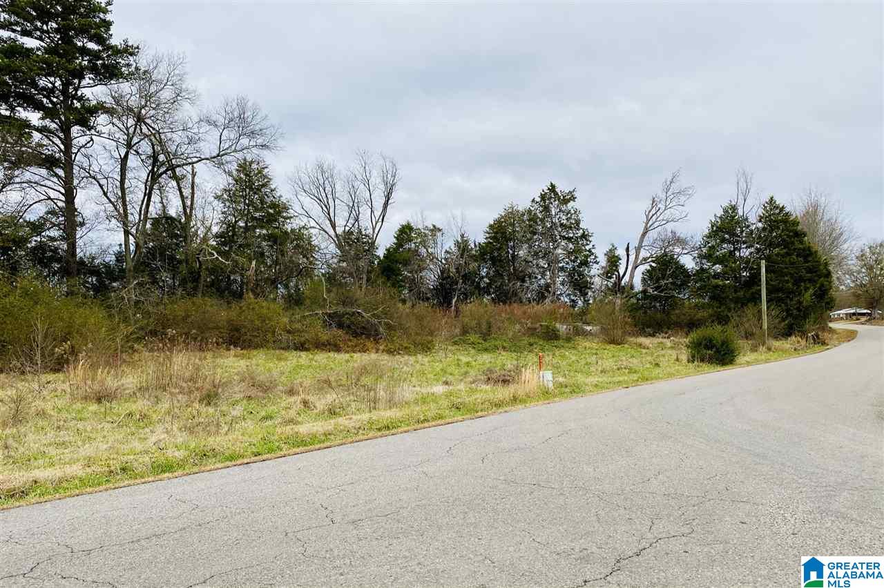 650 Peaceful Valley Road, Unit 98 AC Eastaboga, AL 36260 - Photo 4 of 10