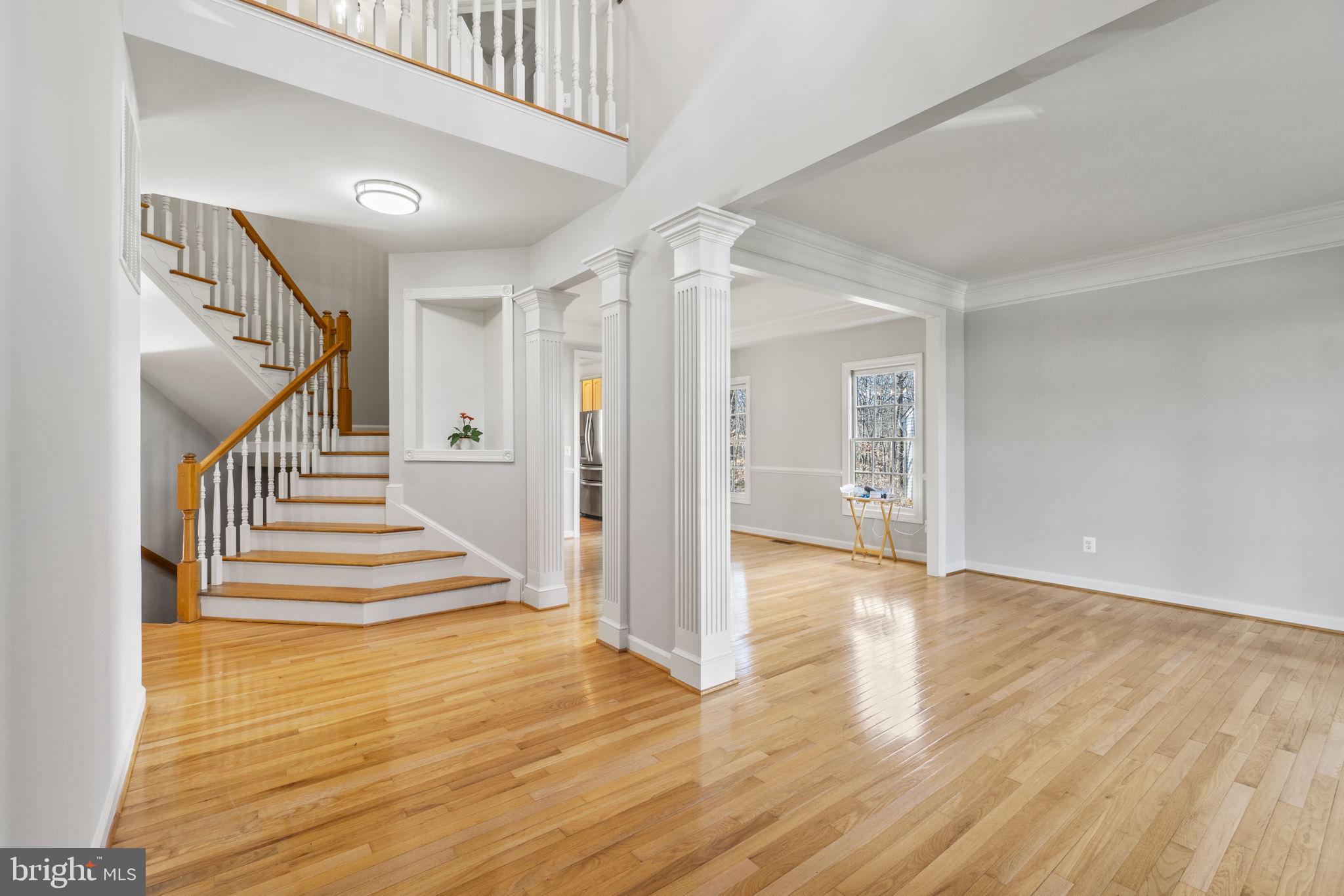 8589 Beatrice Court Springfield, VA 22152 - Photo 3 of 59 Gallery Image 3