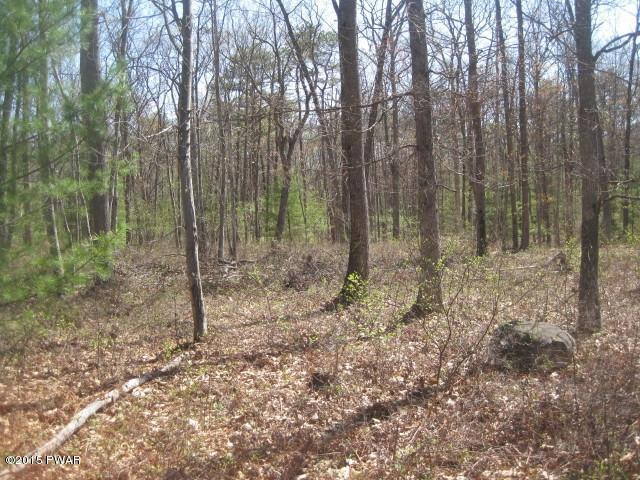 Lot 6 Fox Rdg Pk Drive Hawley, PA 18428 - Photo 5 of 5 IMG_9682