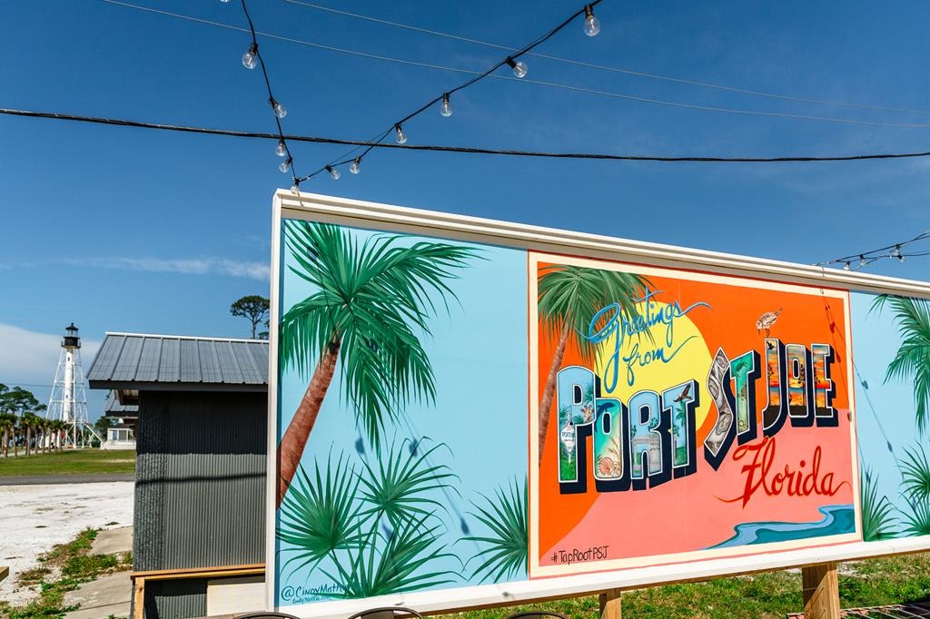 788 Backwater Road Port St. Joe, FL 32456 - Photo 46 of 89