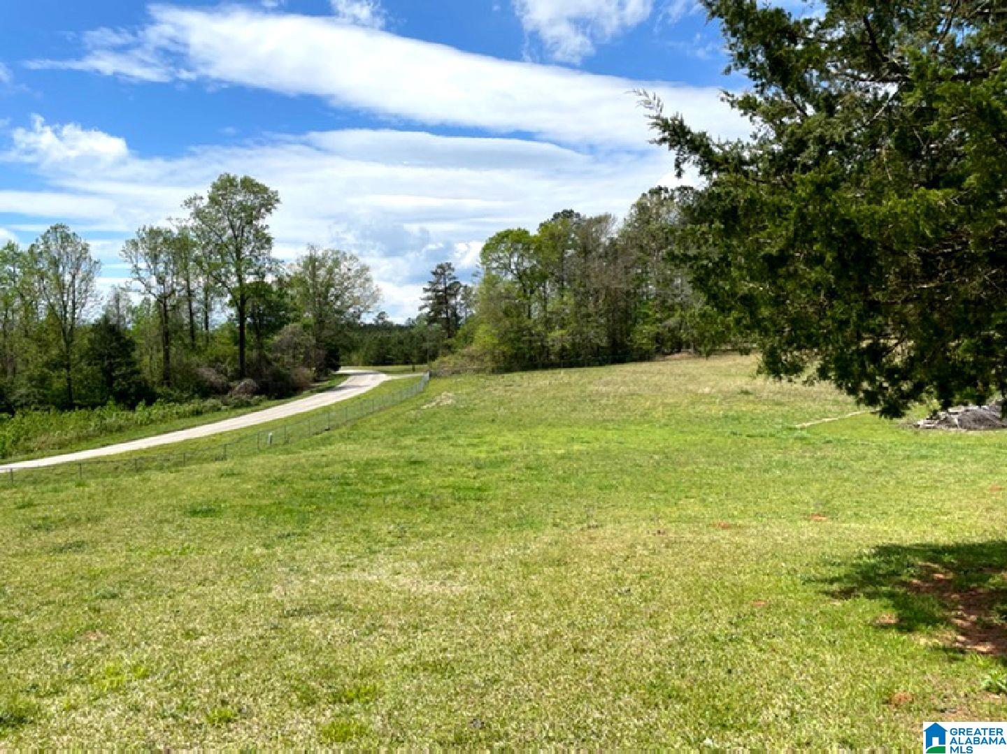 2509 Lees Bridge Road Delta, AL 36258 - Photo 43 of 45