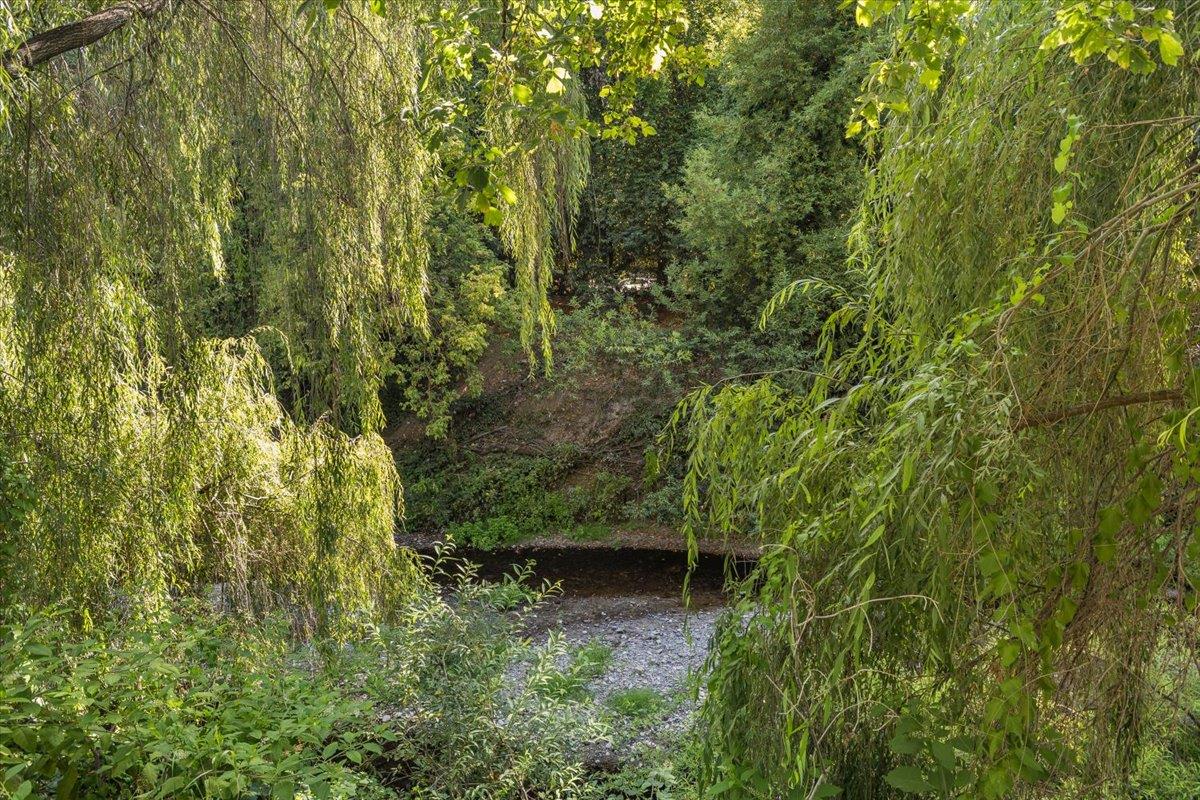 338 River Road Felton, CA 95018 - Photo 21 of 30 Gallery Image 21