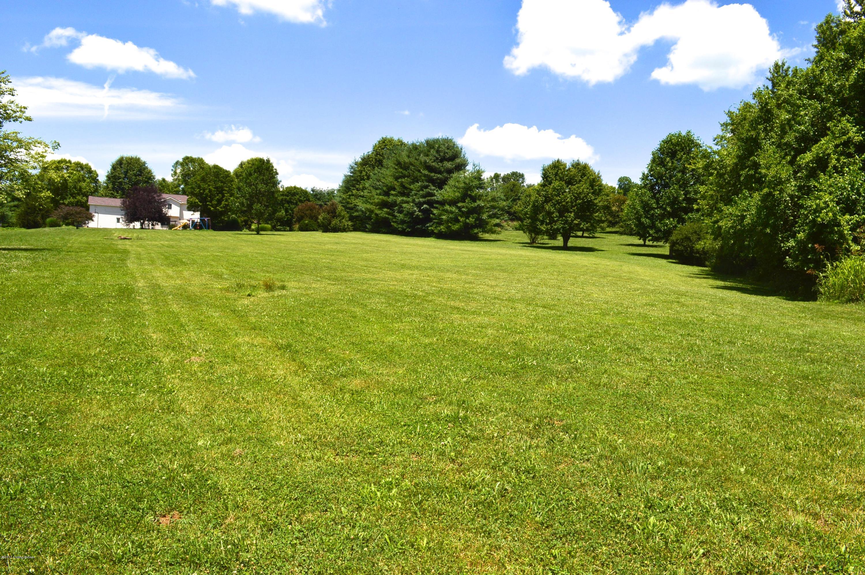 950 Yoder Tipton Road Taylorsville, KY 40071 - Photo 41 of 45 View of back of house
