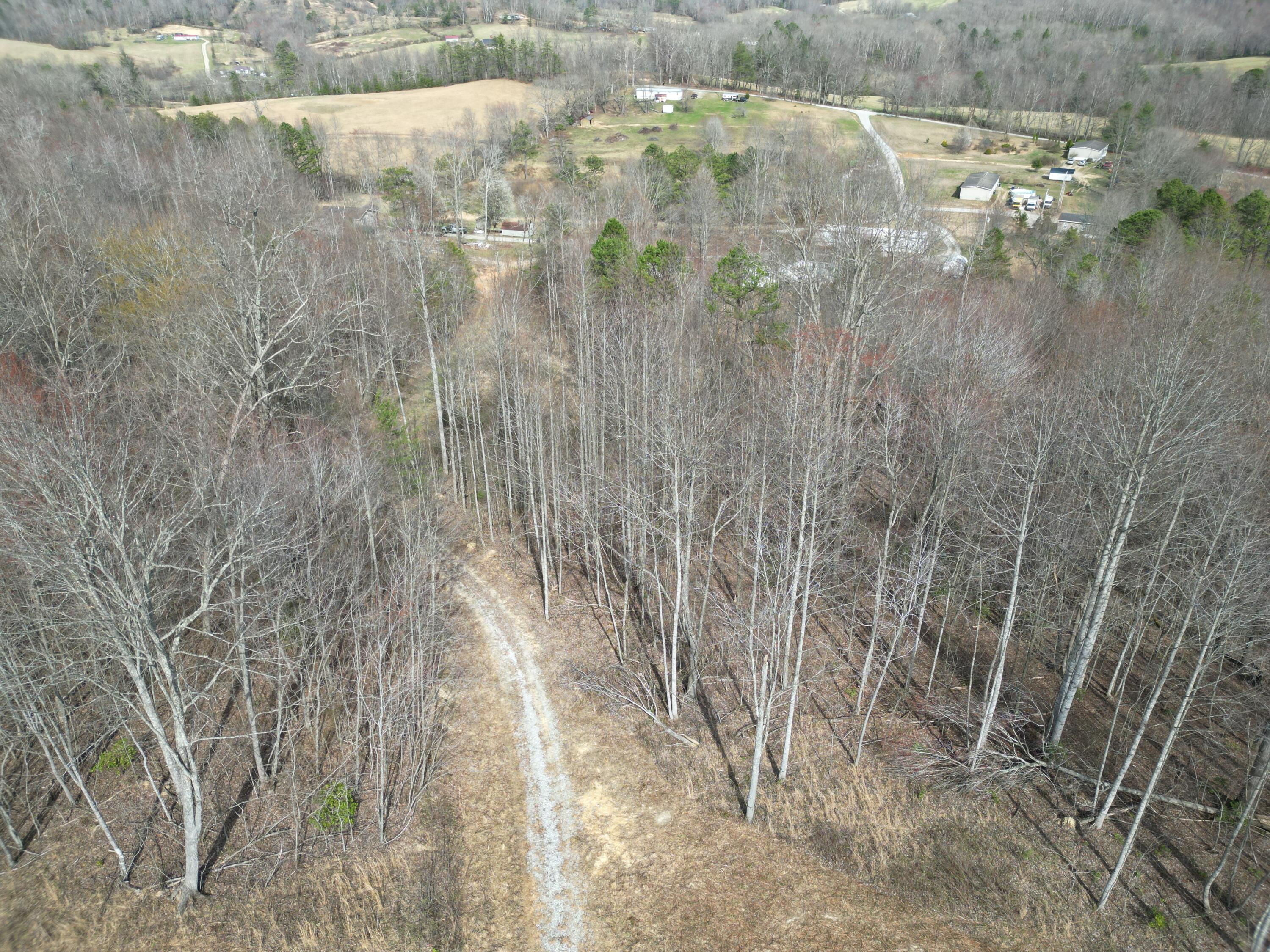 9999 Logan Road Corbin, KY 40701 - Photo 6 of 25 DJI_0849