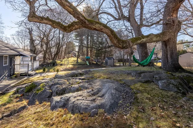 a view of a yard with plants and trees