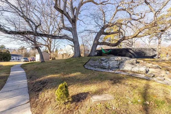 a view of yard with tree