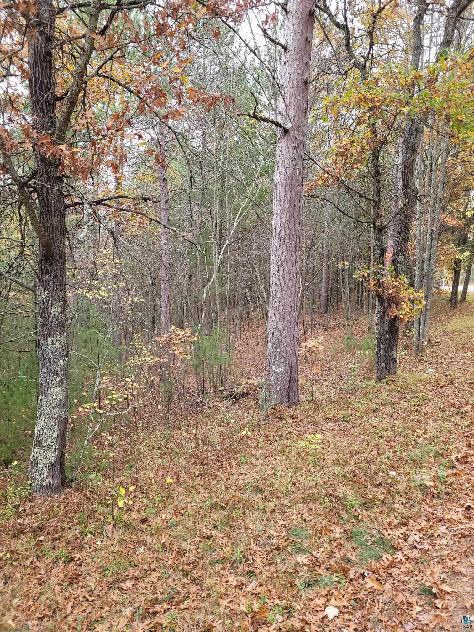 West Nancy Lake Road Minong, WI 54859 - Photo 2 of 9 Gallery Image 2