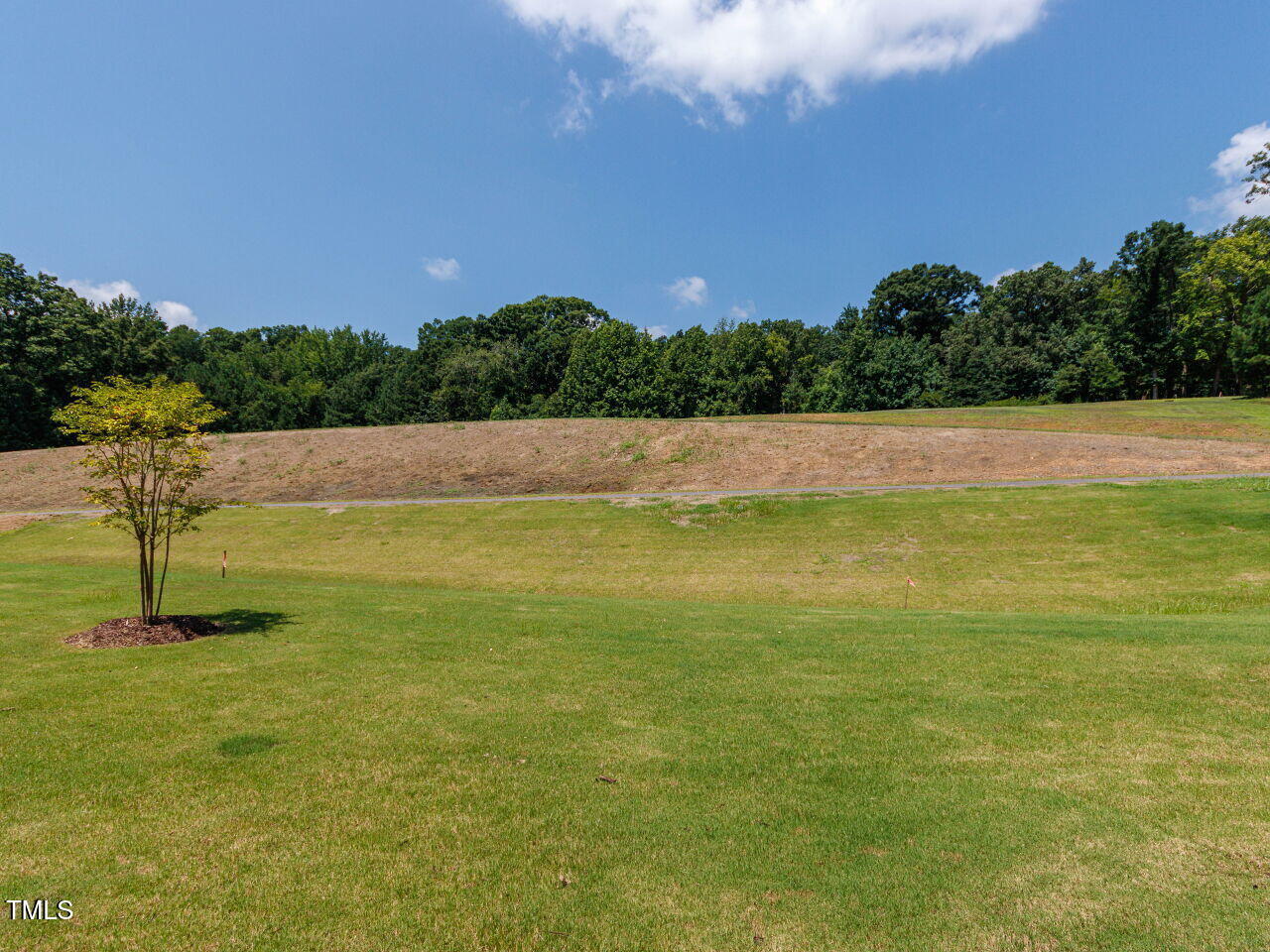 1031 Coldspring Circle Durham, NC 27705 - Photo 38 of 44 040-1280x960-backyard