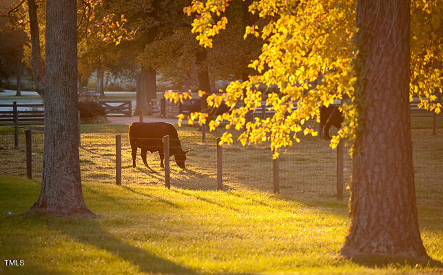 1031 Coldspring Circle Durham, NC 27705 - Photo 41 of 44 a view of outdoor space with seating area