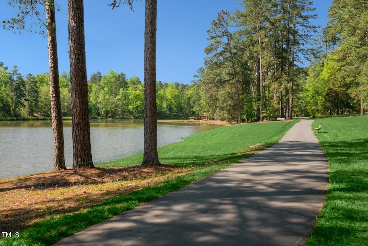 1031 Coldspring Circle Durham, NC 27705 - Photo 43 of 44 a view of backyard with green space