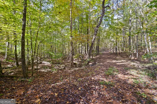 a view of a backyard of the house