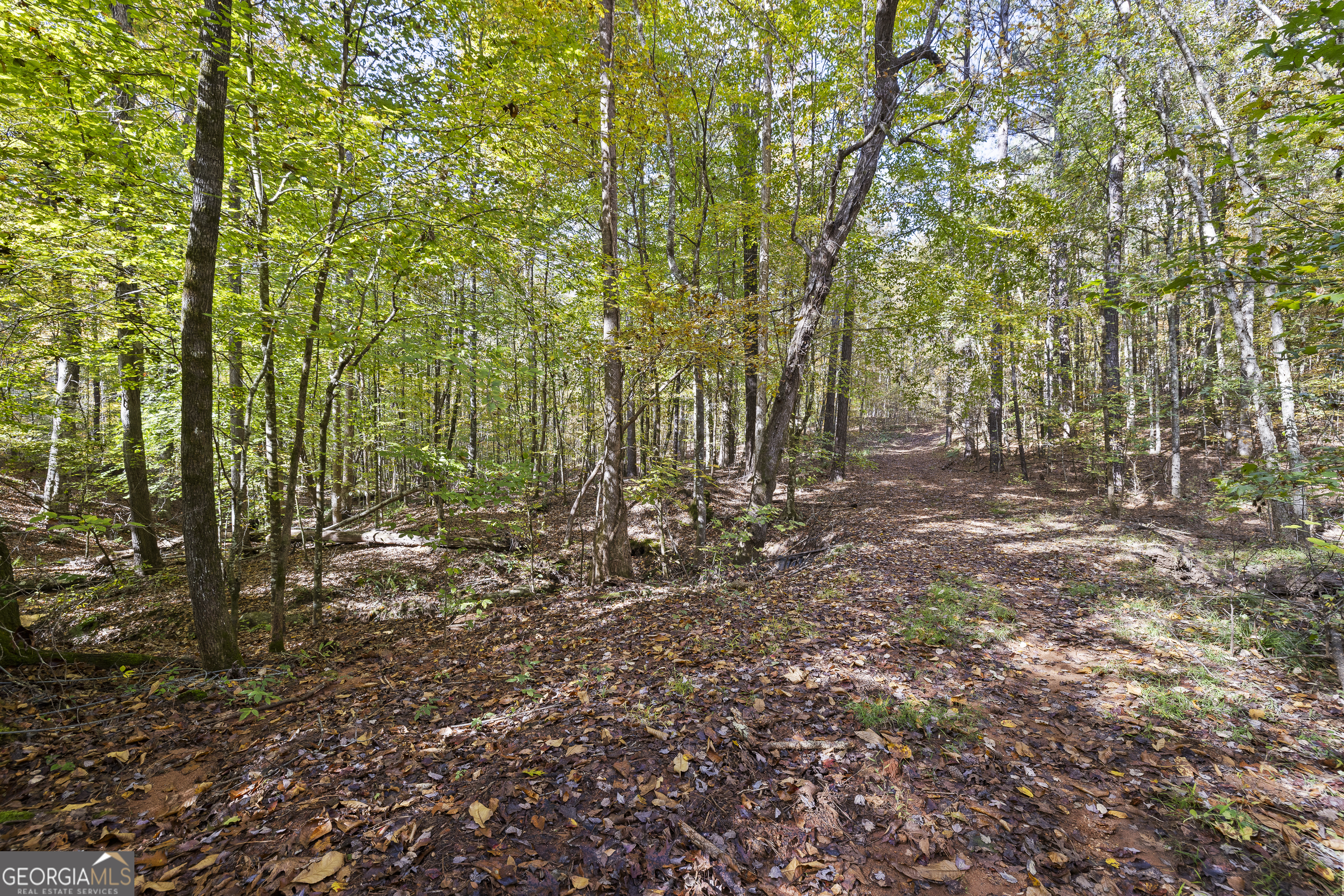 0 Fincher Lane Covington, GA 30016 - Photo 14 of 21 a view of outdoor space with deck and trees