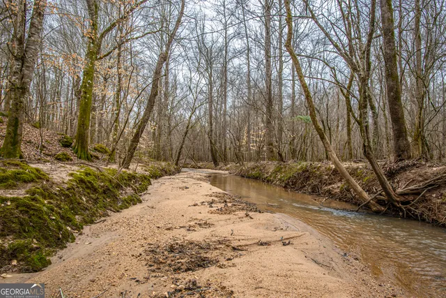 a view of a field with trees in the background