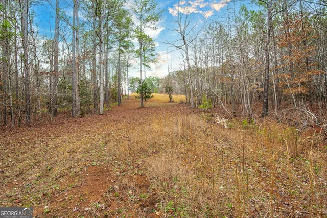 a view of an ocean beach
